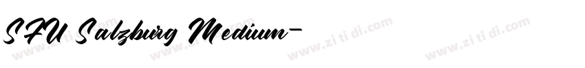 SFU Salzburg Medium字体转换